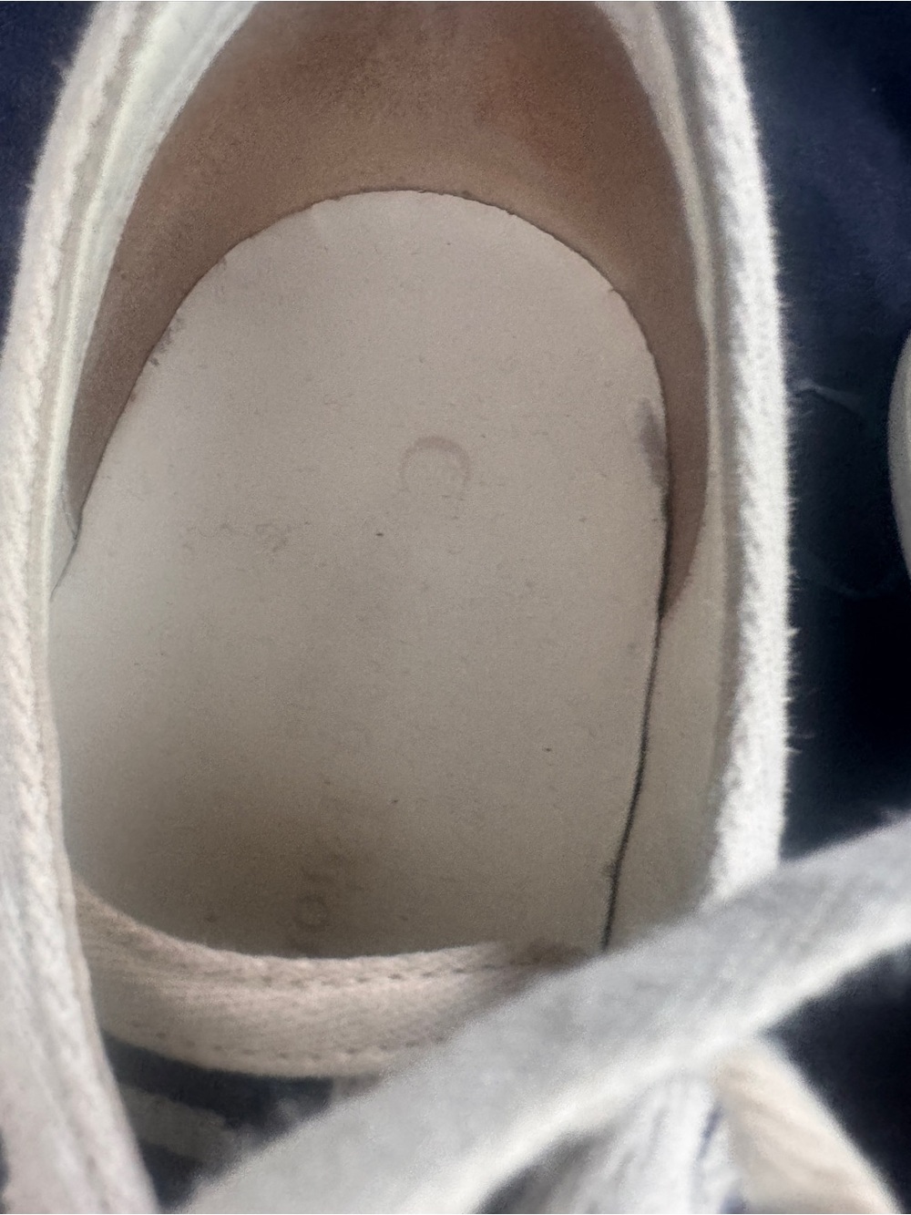 Dior Navy and White walk n Dior Logo Low-Top Sneakers - Picture 11 of 15